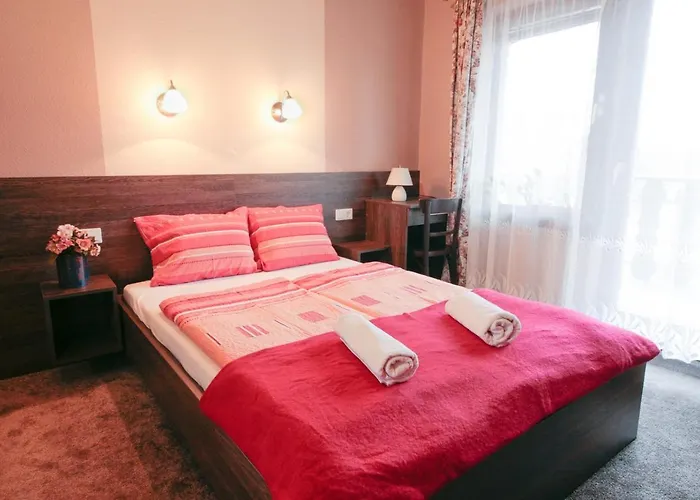 艾米温德嘉斯旅馆 4* Balatonszárszó