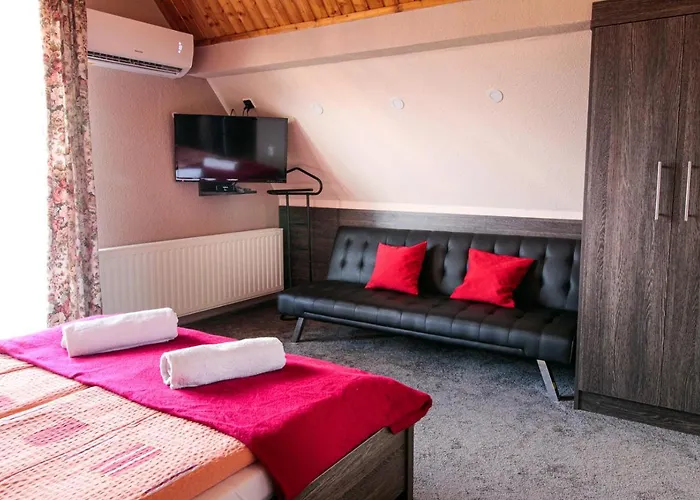 艾米温德嘉斯旅馆 4*